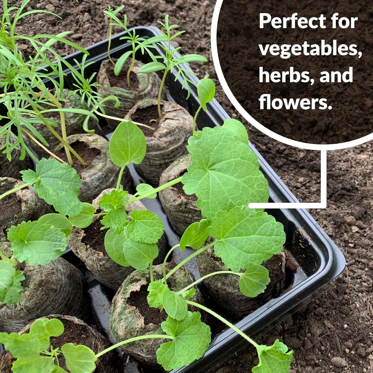 Coconut Coir Peat Pellets – Seed Starting Pods for Easy Plant Germination