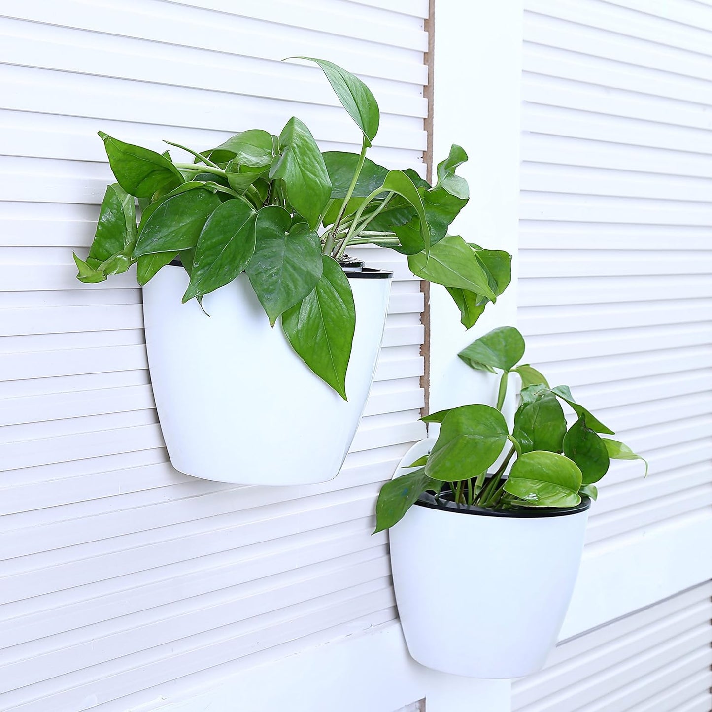 Self-Watering Wall-Mounted Plant Pot – Modern Hanging Planter for Easy Care