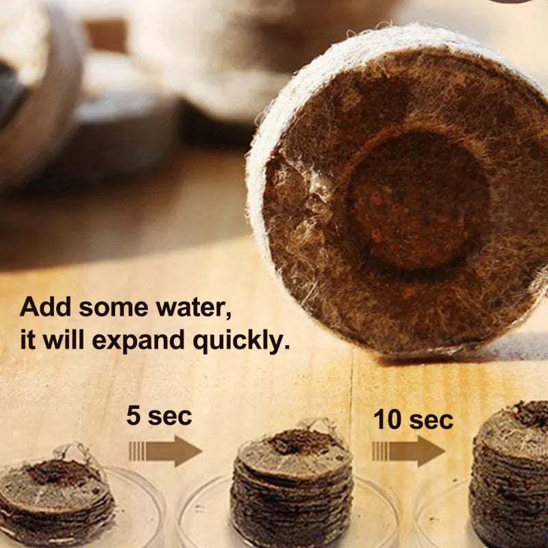 Coconut Coir Peat Pellets – Seed Starting Pods for Easy Plant Germination