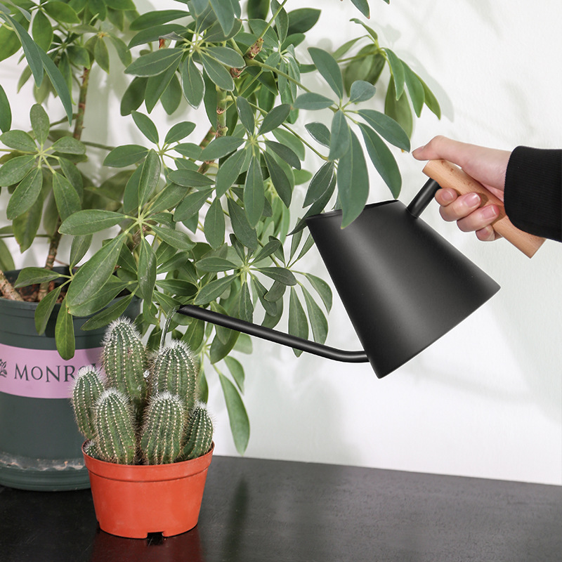 Contemporary Watering Can with Wooden Handle - Elegant Plant Watering Tool for the Garden