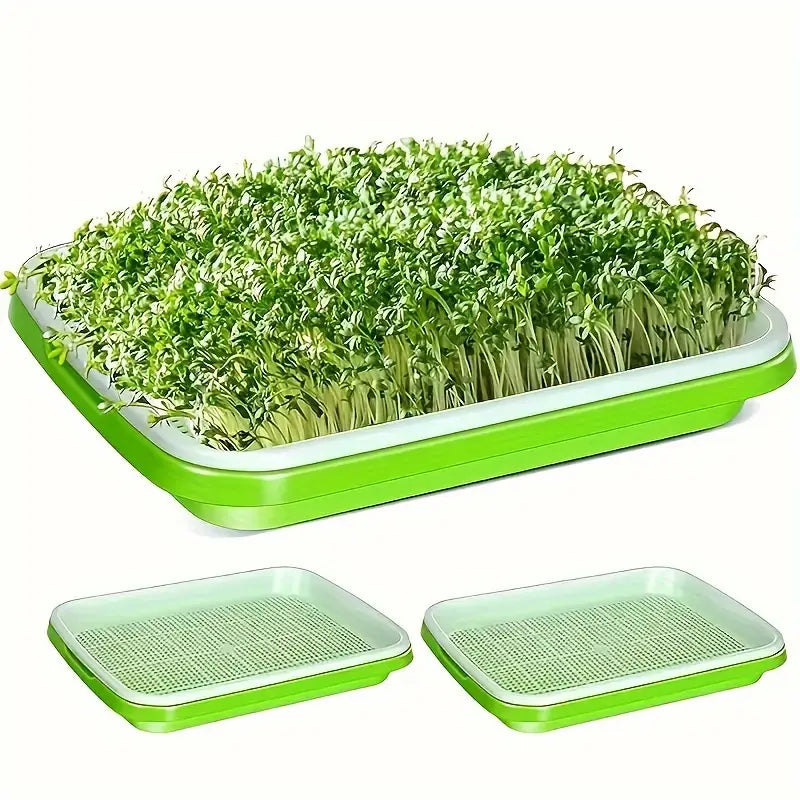 Seed Germination Tray with Lid – Double-Layer Plant Starter Tray for Efficient Growth