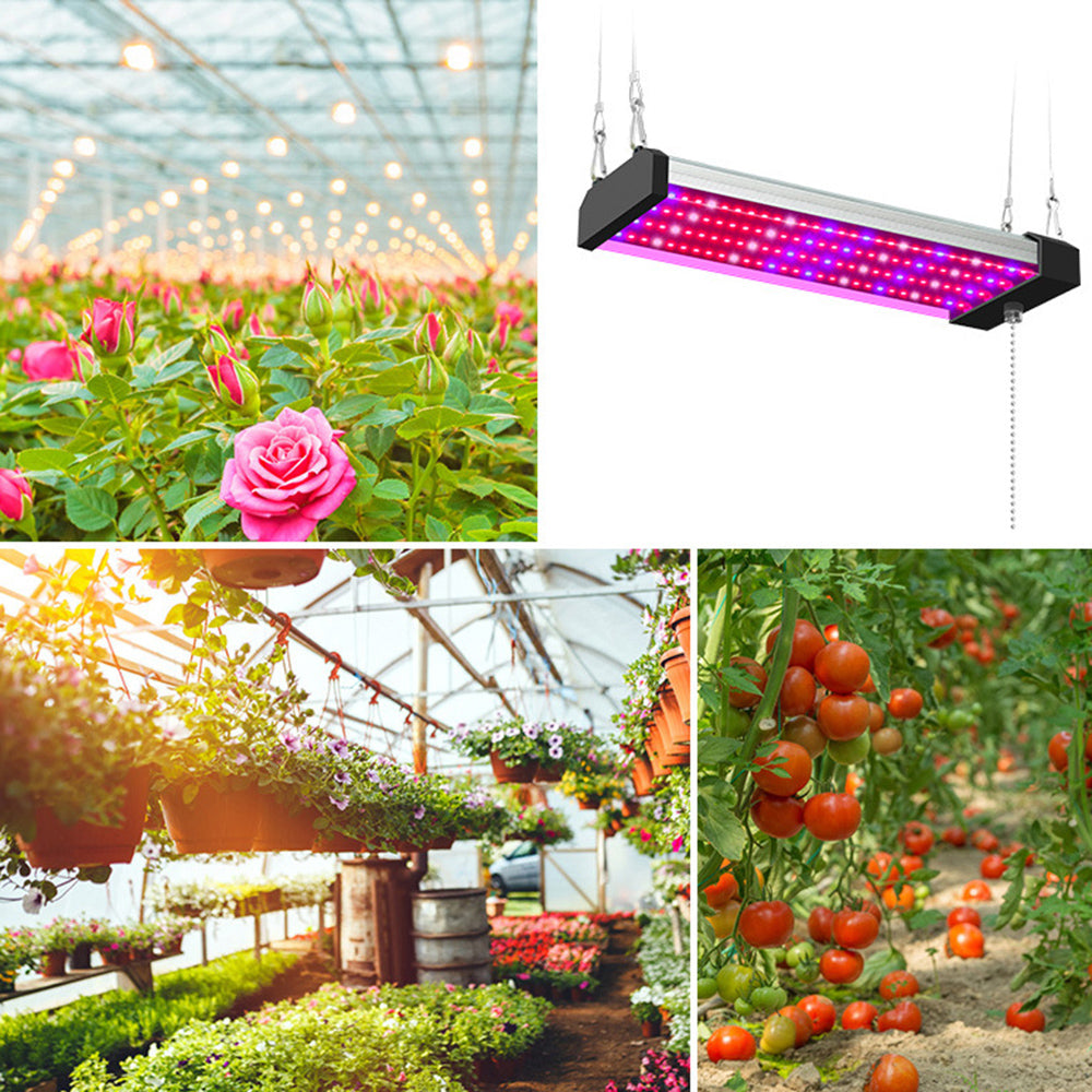 Full Spectrum LED Grow Light with Adjustable Pull Switch – Ideal for Promoting Plant Growth