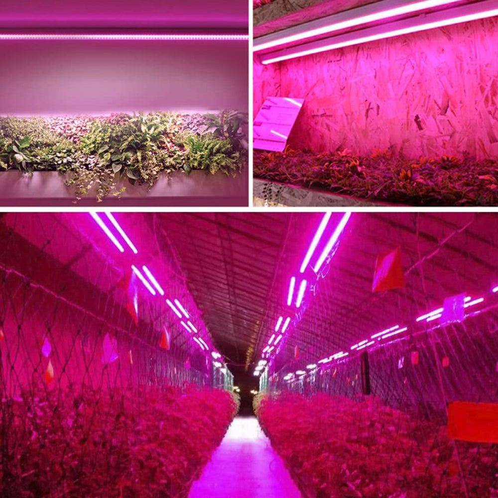 Full Spectrum LED Grow Light with Adjustable Pull Switch – Ideal for Promoting Plant Growth