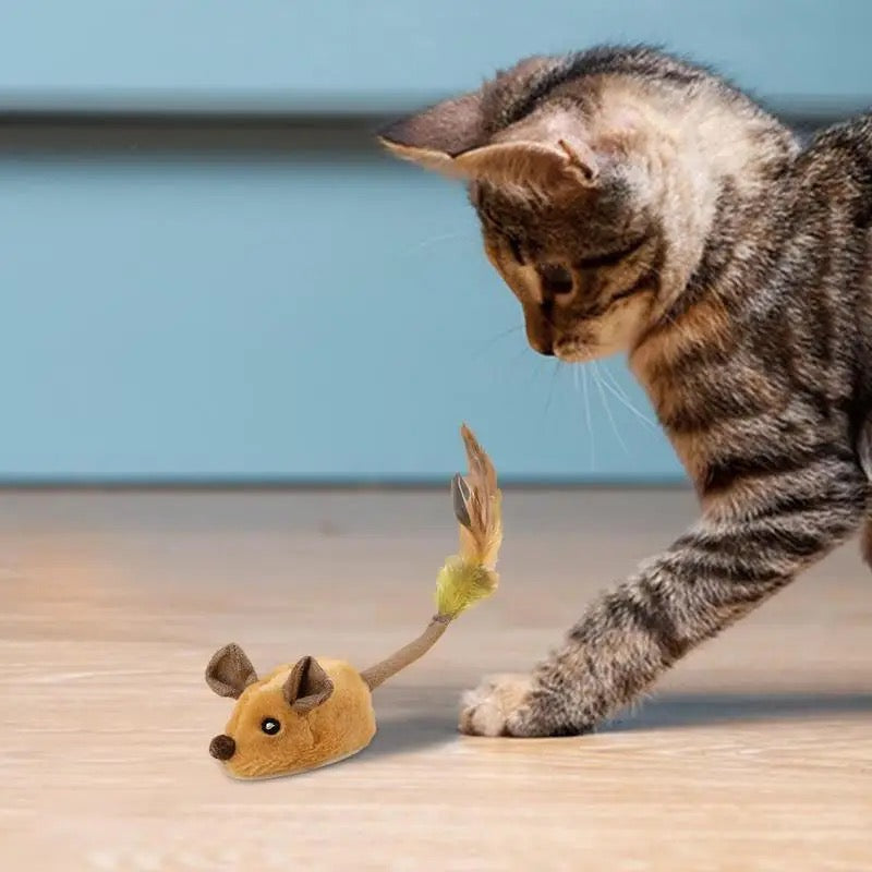 FastMouse - Interactive Cat Toy