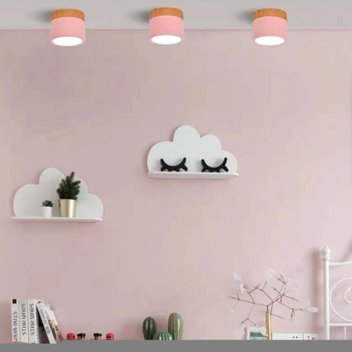 Modern Morandi LED Ceiling Light