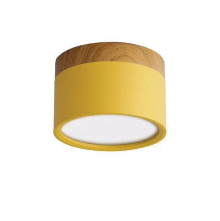 Modern Morandi LED Ceiling Light