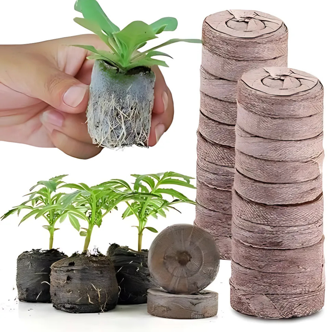 Coconut Coir Peat Pellets – Seed Starting Pods for Easy Plant Germination