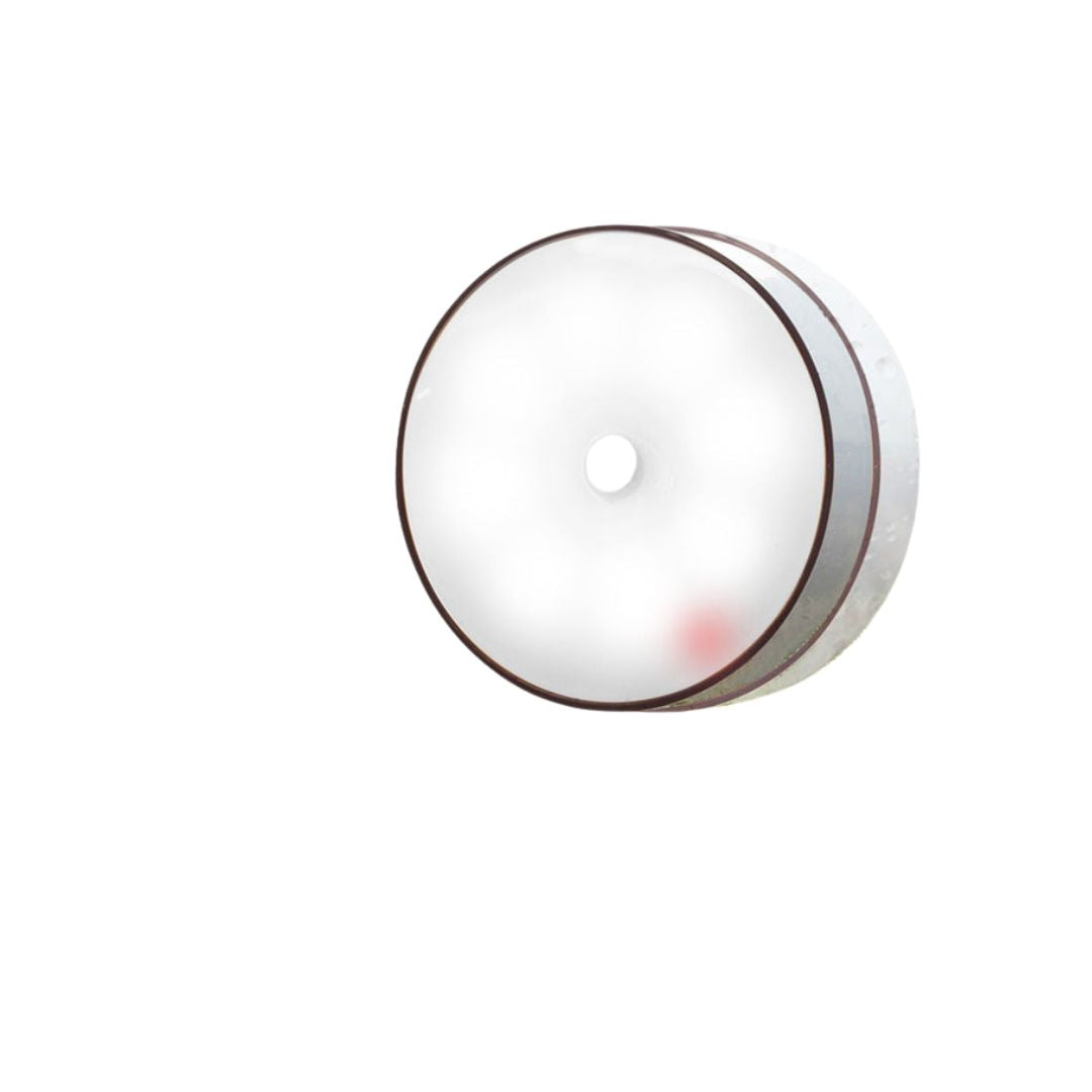Smart Motion-Sensing Light