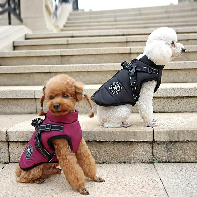 Wind- and Waterproof Jacket for Dogs with Harness