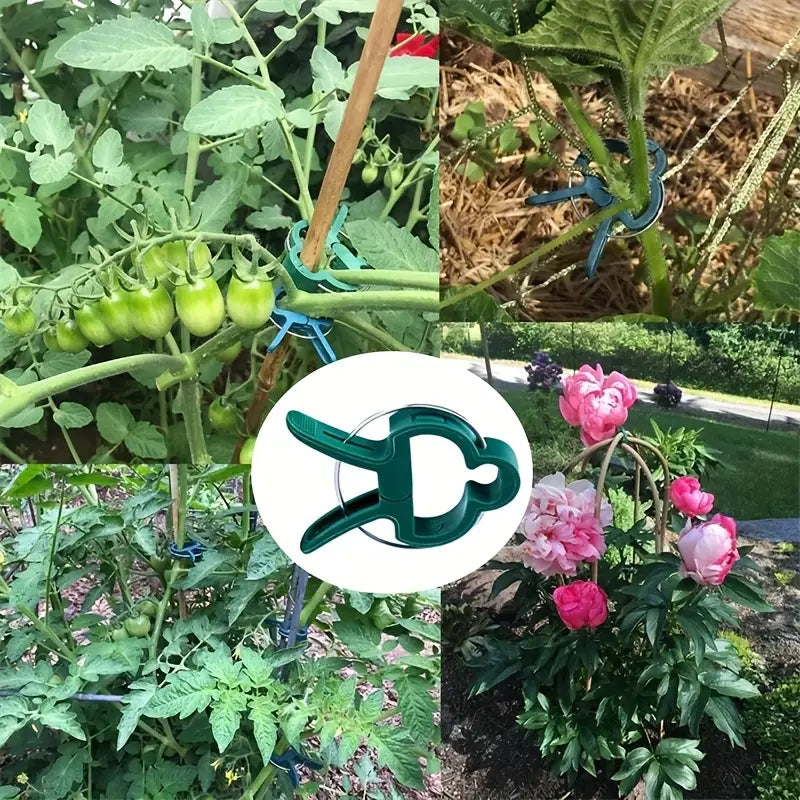 Plant Support Clip Set – Adjustable Garden Loops for Plant Care and Growth Support