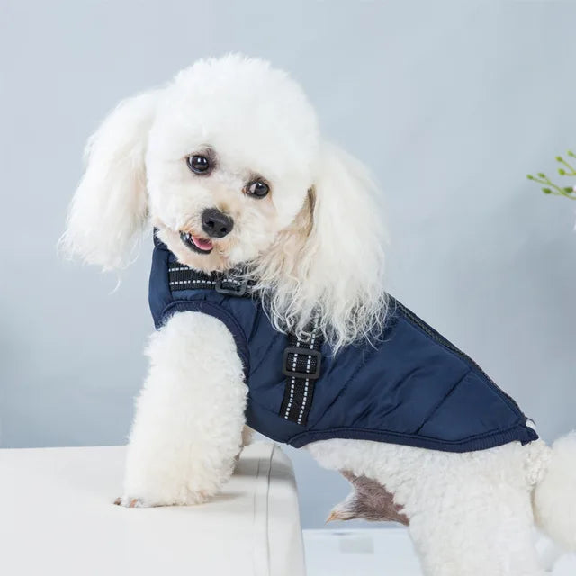 Wind- and Waterproof Jacket for Dogs with Harness