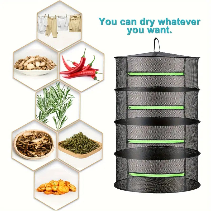 Collapsible Drying Rack for Fruits, Vegetables, and Herbs – Multi-Tier Mesh Organizer for Fast Drying