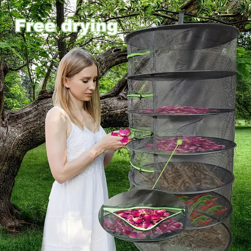 Collapsible Drying Rack for Fruits, Vegetables, and Herbs – Multi-Tier Mesh Organizer for Fast Drying