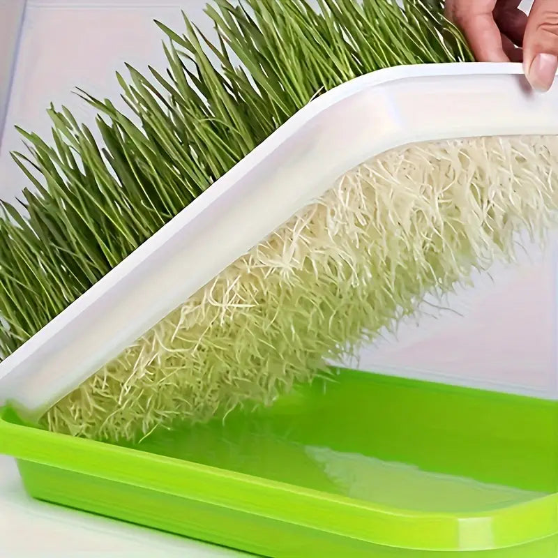 Seed Germination Tray with Lid – Double-Layer Plant Starter Tray for Efficient Growth