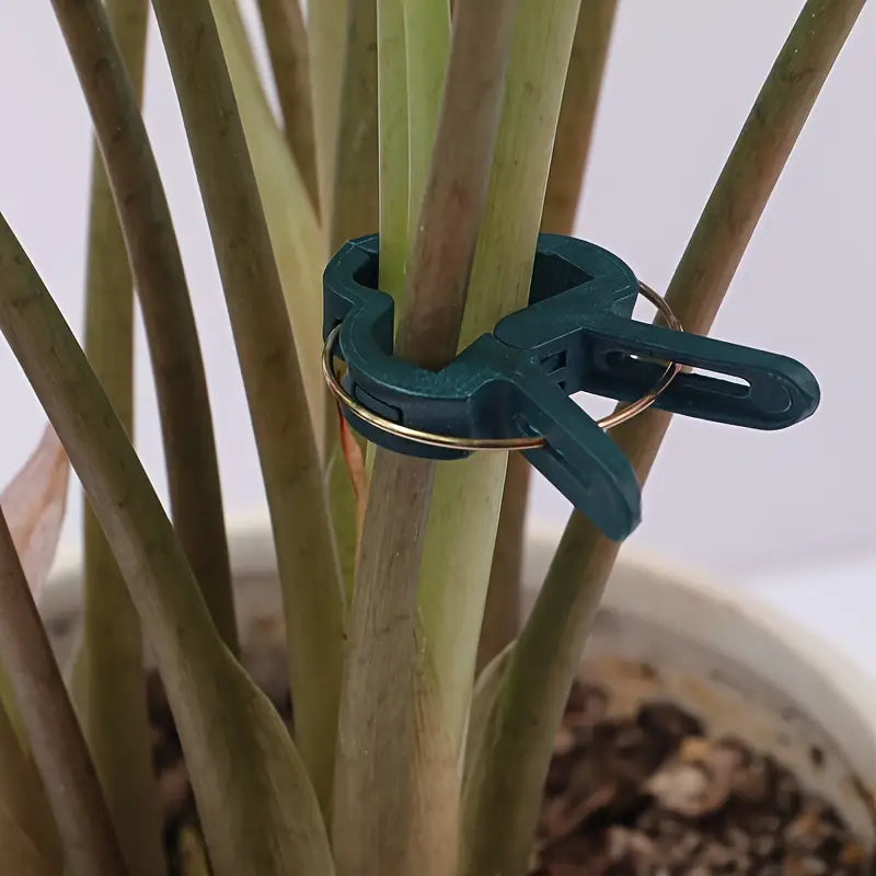 Plant Support Clip Set – Adjustable Garden Loops for Plant Care and Growth Support