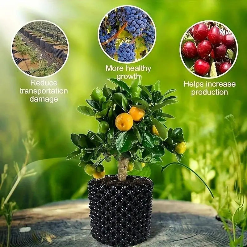 Effective Root Barrier System for Plants – Supports Healthy Growth and Landscaping Maintenance