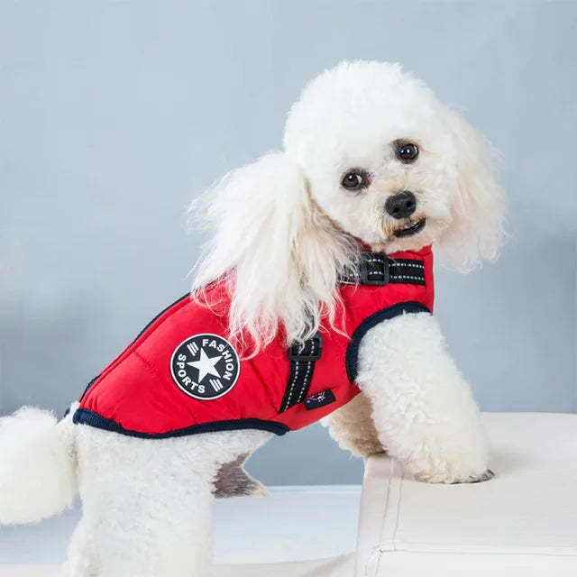 Wind- and Waterproof Jacket for Dogs with Harness