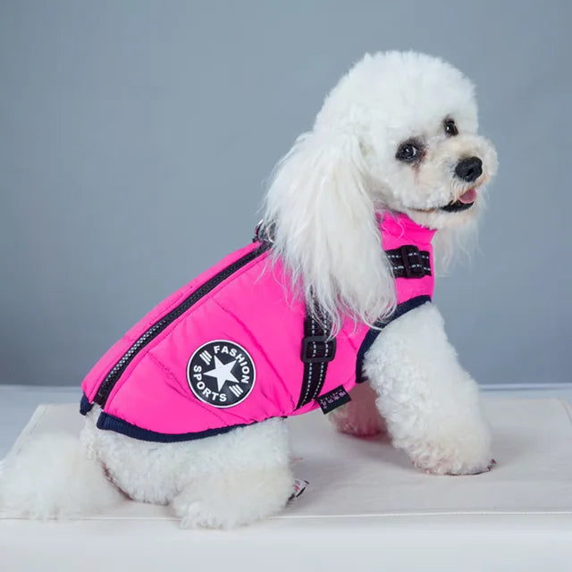 Wind- and Waterproof Jacket for Dogs with Harness