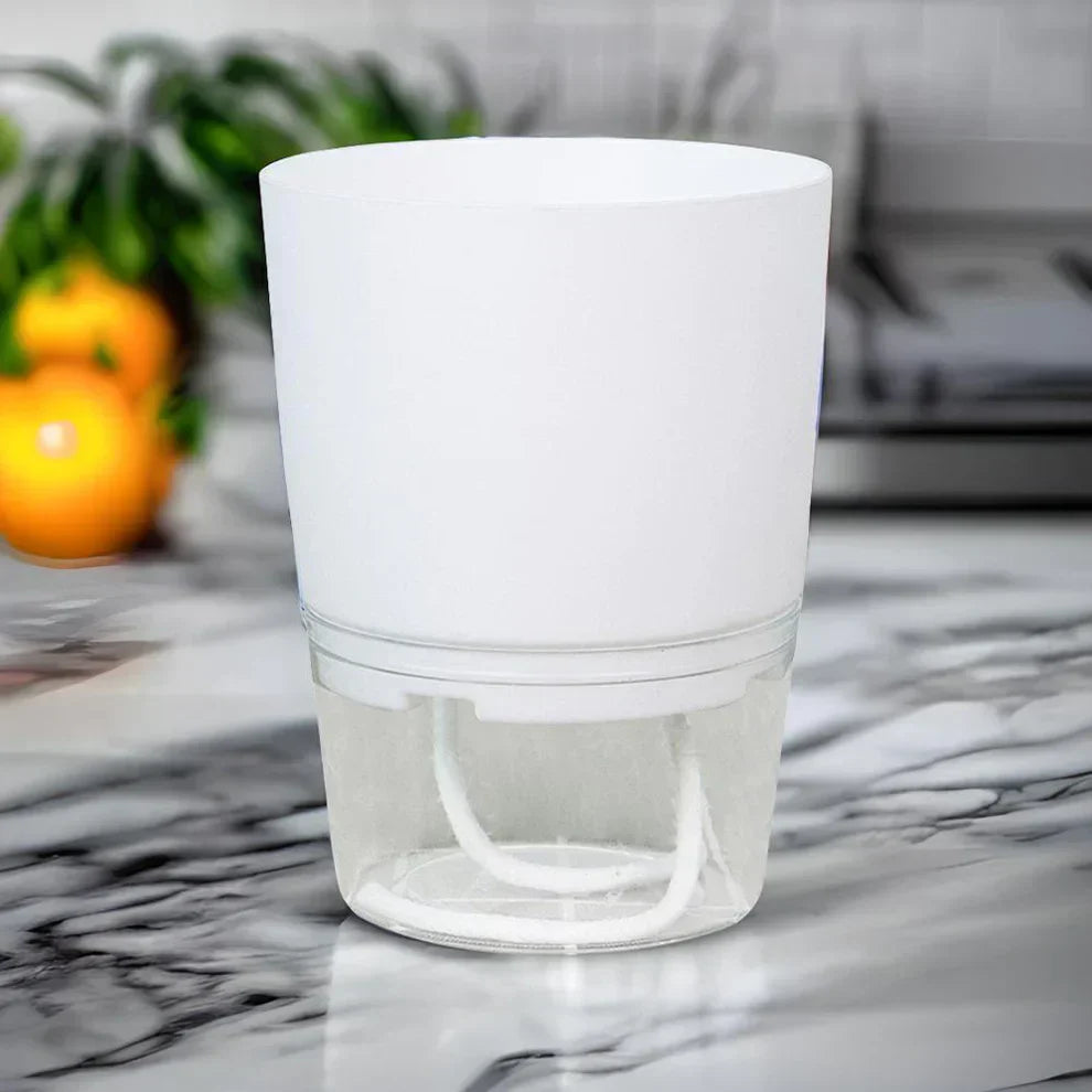 Self-Watering Plant Pot