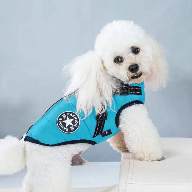 Wind- and Waterproof Jacket for Dogs with Harness