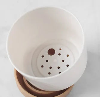 Self-Watering Planter for Orchids and Plants - Plastic Flower Pot for Easy Care