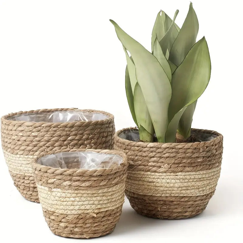 Set of 3 Handwoven Seagrass Plant Baskets - Decorative Flower Pots with Foil Liner