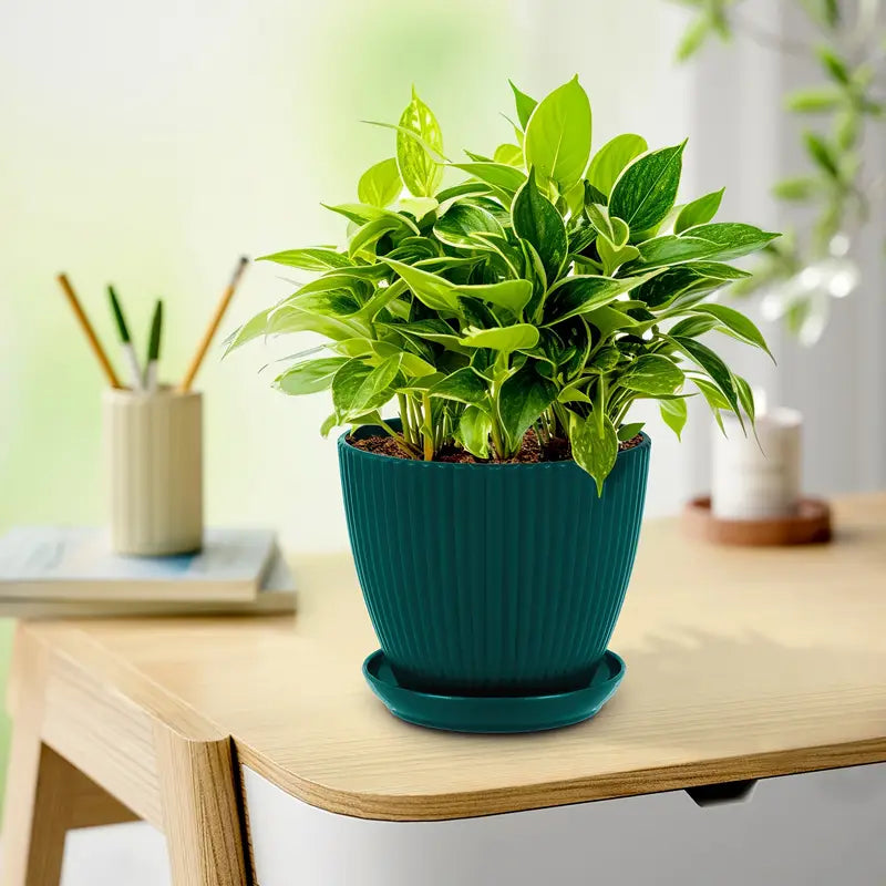 Sturdy Plastic Flower Pot with Grooved Design and Saucer - Durable Planter for Plants