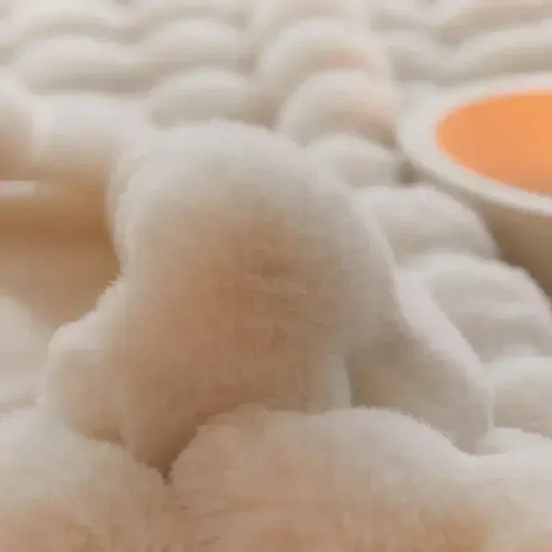 Plush Faux Fur Throw Blanket