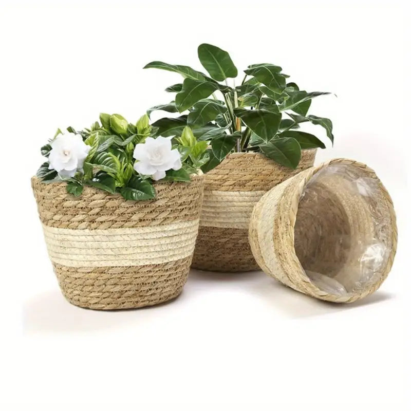 Set of 3 Handwoven Seagrass Plant Baskets - Decorative Flower Pots with Foil Liner