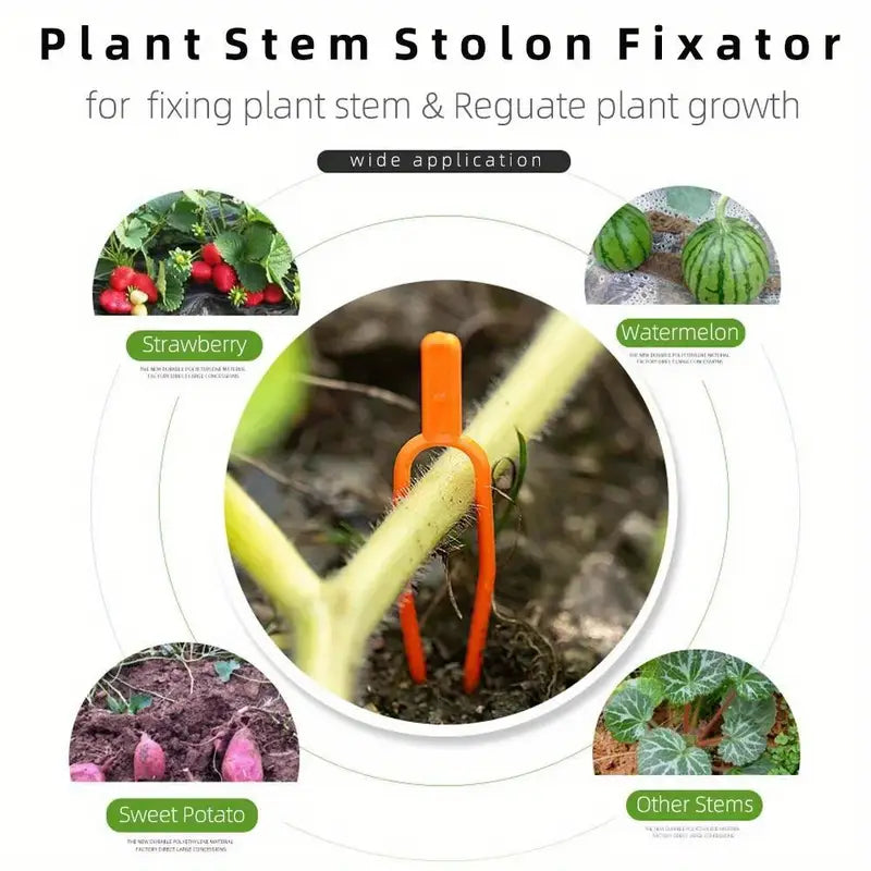 Plastic Plant Support Clips for Enhanced Stability in Gardens