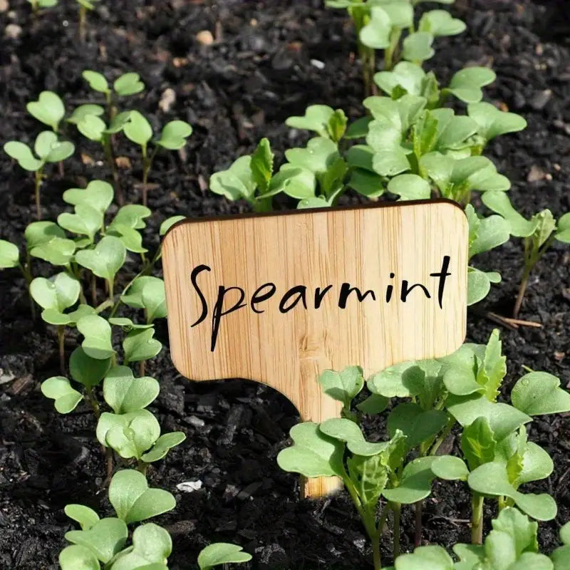 Reusable Wooden Plant Markers – Writable Labels for Garden & Balcony Herbs