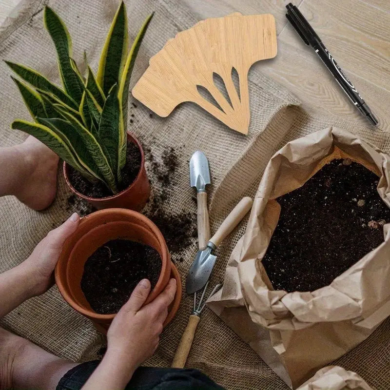 Reusable Wooden Plant Markers – Writable Labels for Garden & Balcony Herbs