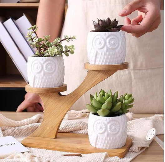 Wooden Plant Stand with Owl Design – Decorative Holder for Succulents and Houseplants