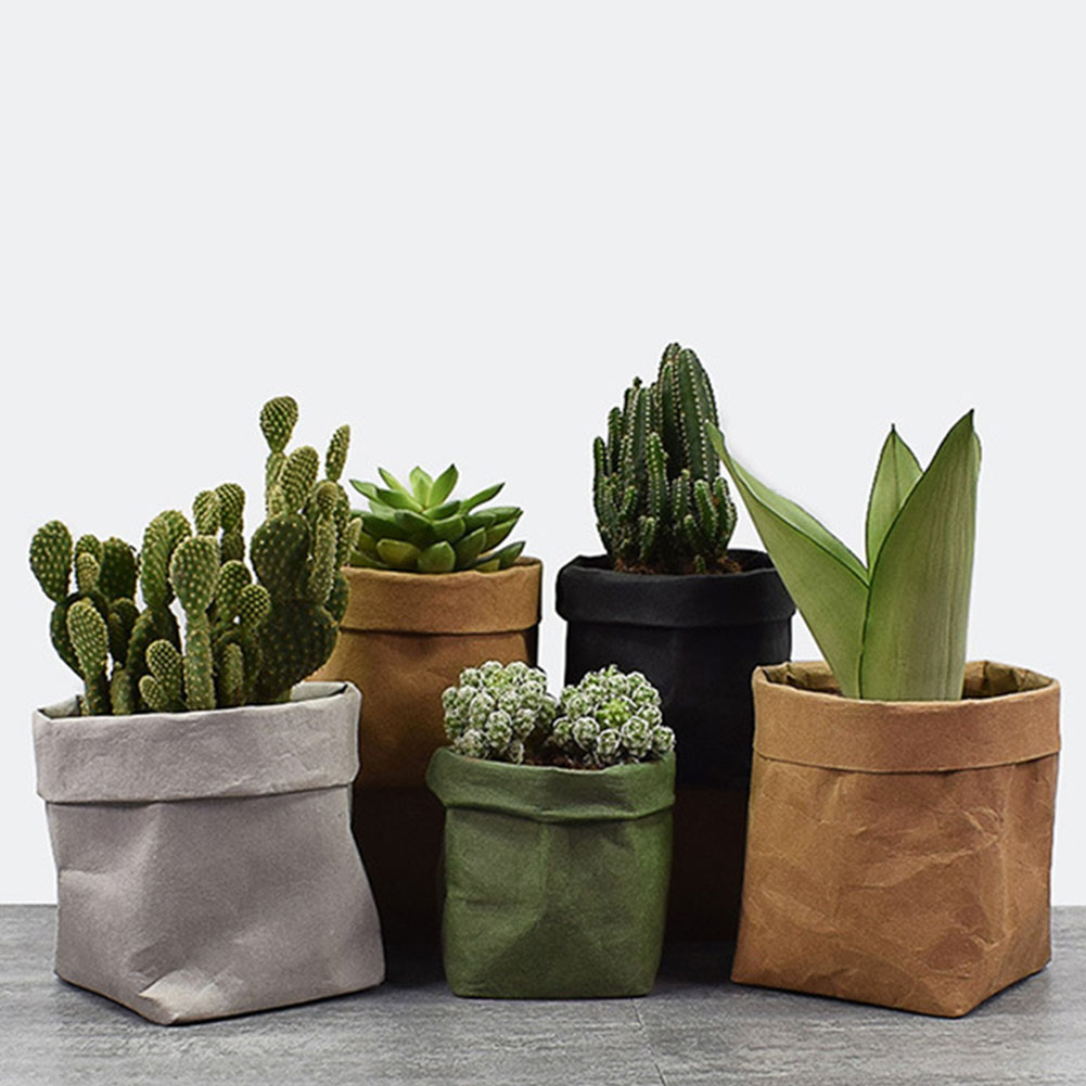 Eco-Chic Paper Plant Pots – Decorative Planters for Contemporary Interiors