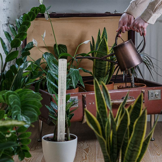 Climbing Plant Support Pillars - Vertical Garden Stakes for Green Plants and Vines