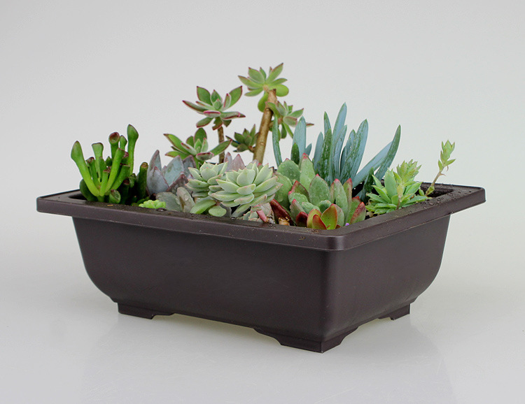 Rectangular Flower Pot with Tray – Durable Plant Container for Garden and Balcony