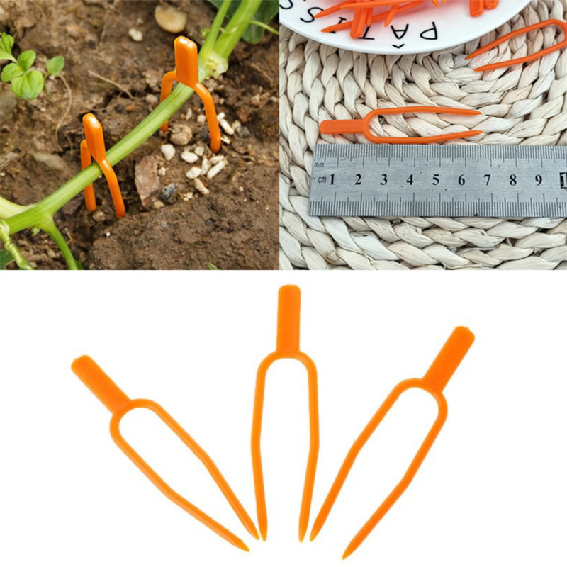 Plastic Plant Support Clips for Enhanced Stability in Gardens