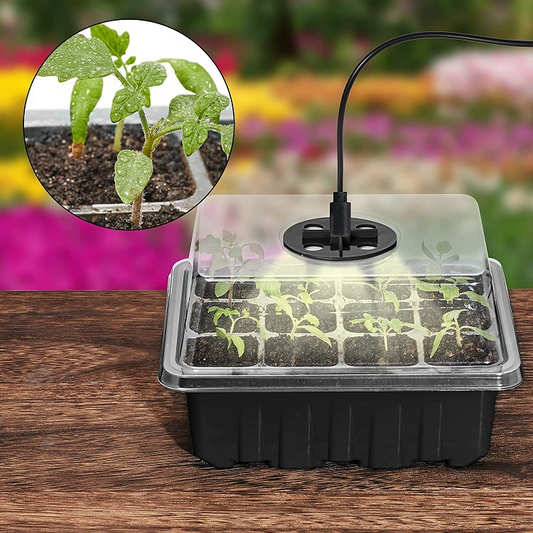 Plant Cultivation Kit with Grow Light - Complete Set for Thriving Indoor Plants