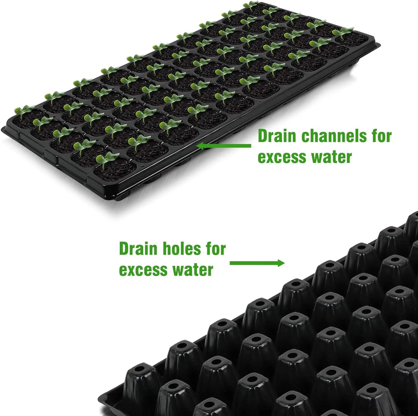 Rectangular Seedling Tray - Ideal for Germination and Plant Growth