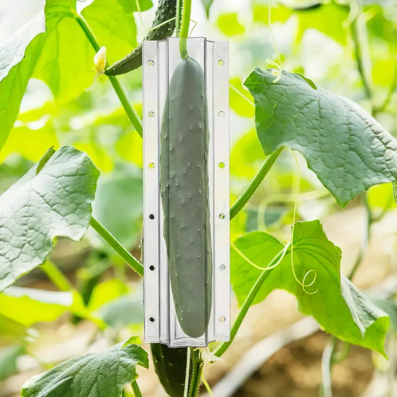 Creative Star-Shaped Mould for Fruits and Vegetables – Fun Shaping Tool for Cucumbers and More