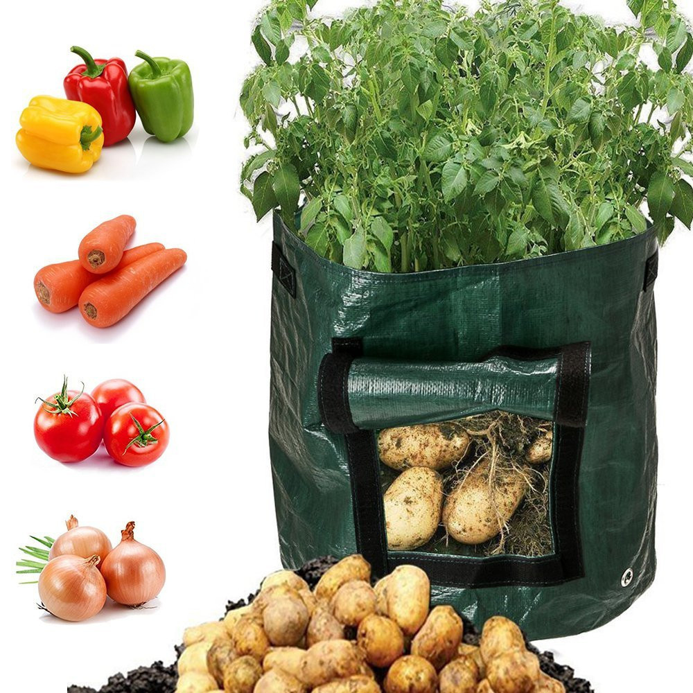 Potato Planting Grow Bag – Reusable With Window For Easy Harvesting