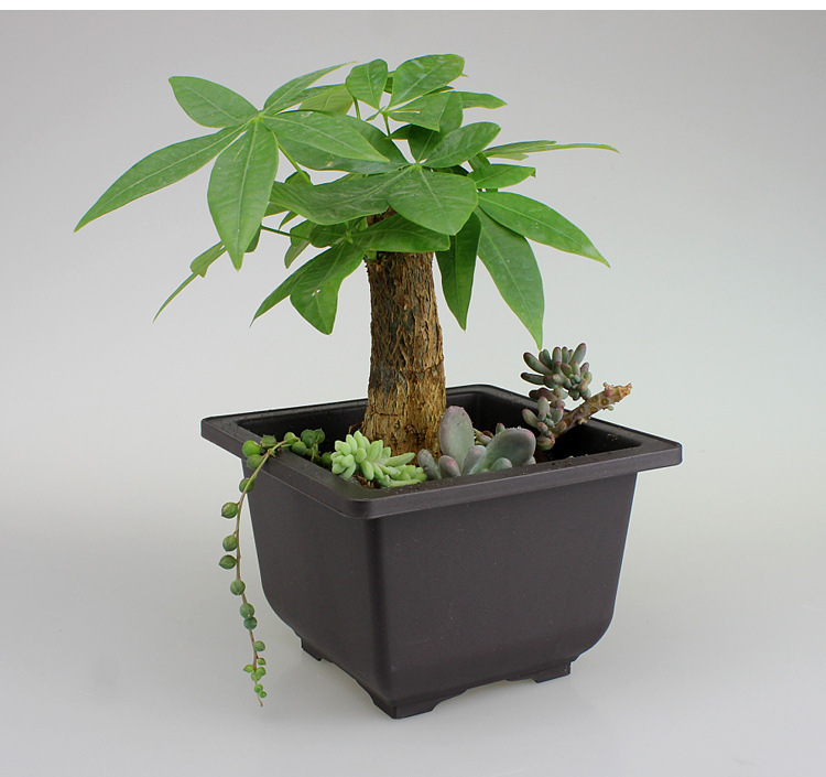 Rectangular Flower Pot with Tray – Durable Plant Container for Garden and Balcony