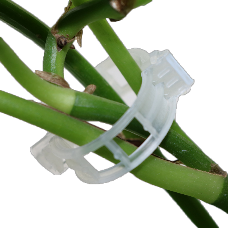 Flexible Plant Stem Support Clips – Adjustable Holders for Climbing Plants
