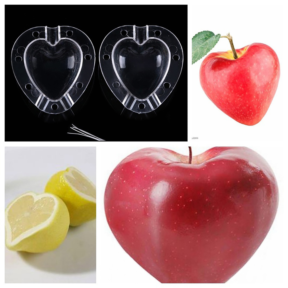 Creative Heart-Shaped Mold – Vegetable and Fruit Shaping Bowl for Unique Presentations