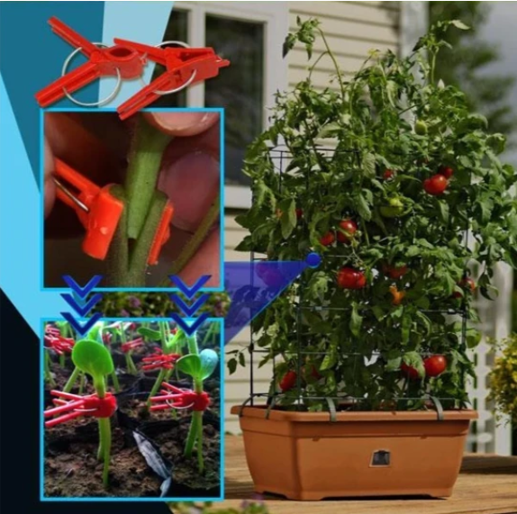 Plastic Grafting Clips for Plants - Perfect for Garden Vegetables and Plant Care