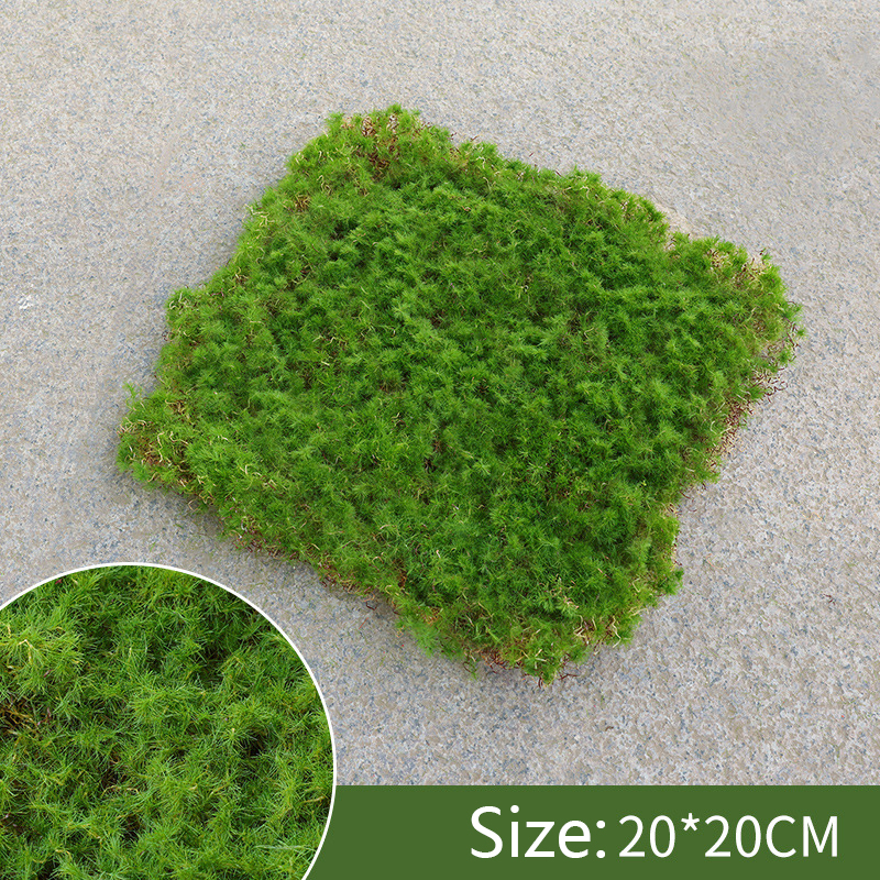 Moss Decoration Piece - Natural Moss Flake for Landscaping and Decorative Accents