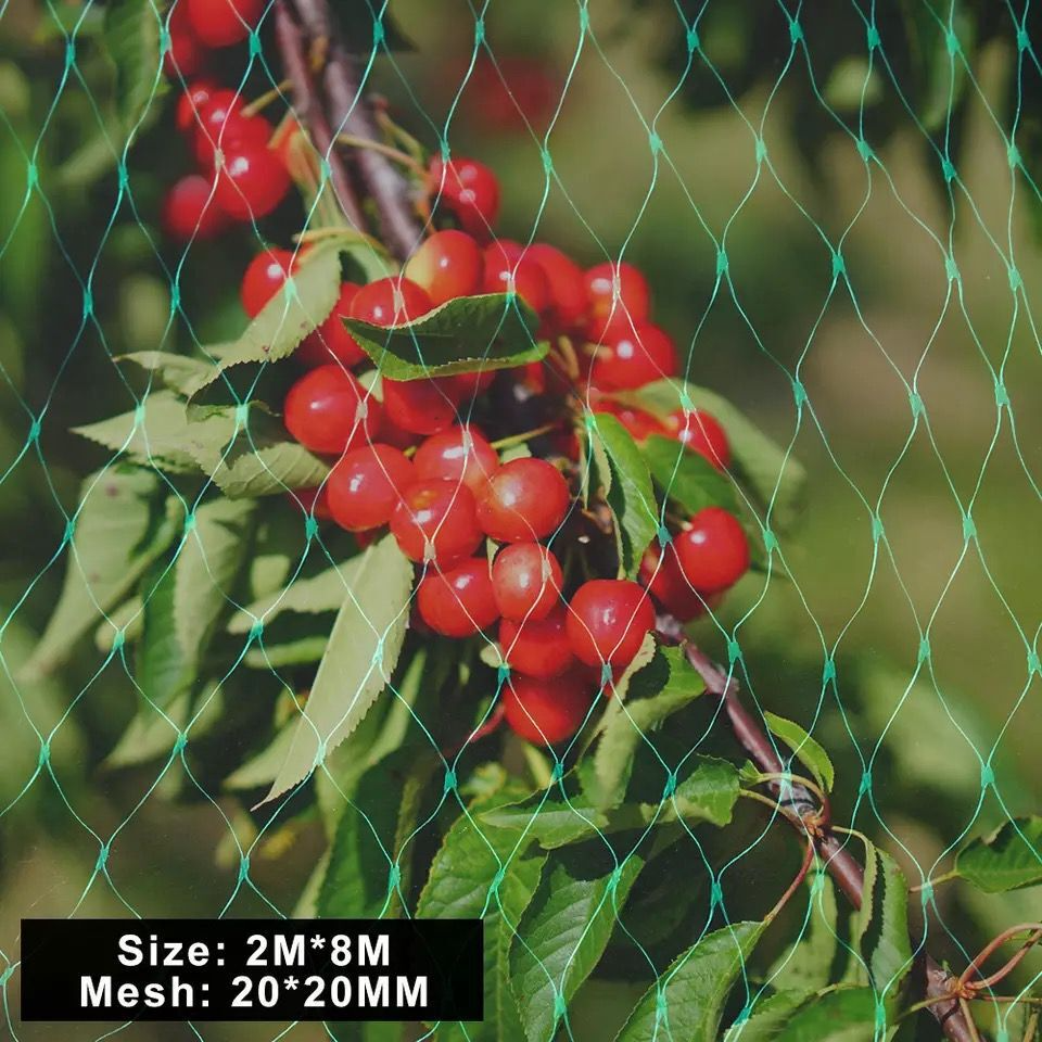 Garden Plant Protection Netting – Green Mesh to Shield Against Pests and Animals