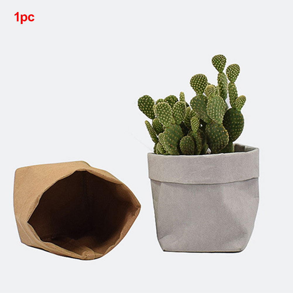 Eco-Chic Paper Plant Pots – Decorative Planters for Contemporary Interiors