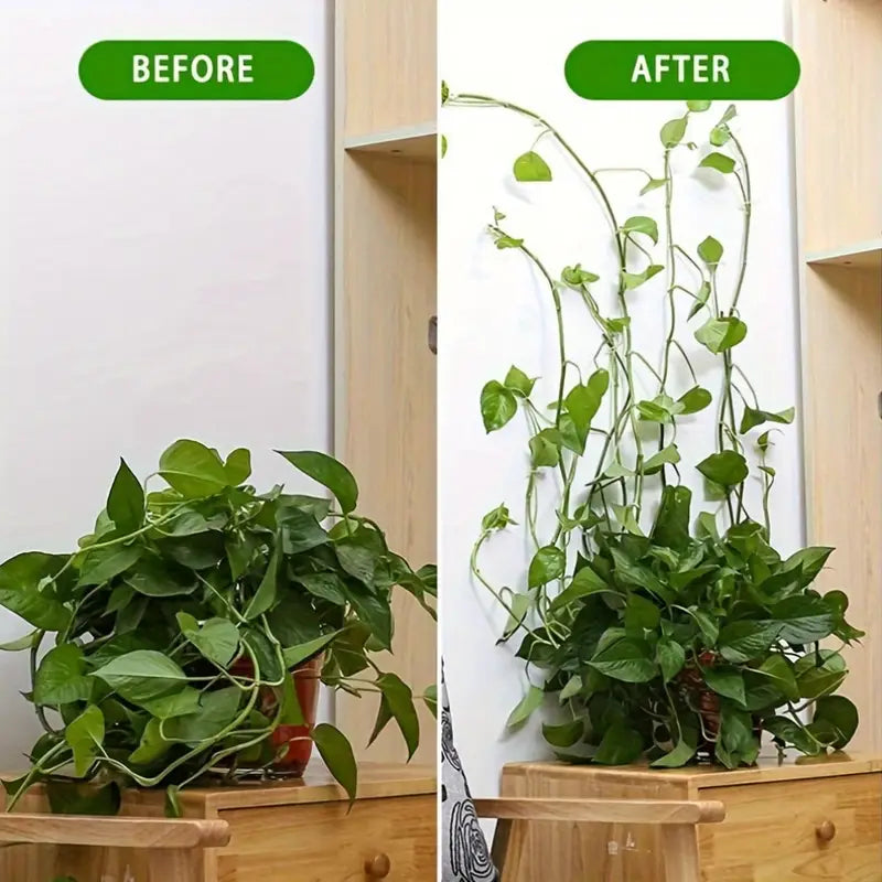 Wall Mount Clips for Climbing Plants – Durable Holders for Vertical Garden Decoration
