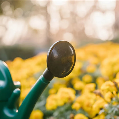 Large Capacity Watering Can – Long Spout for Accurate Watering and Plant Care